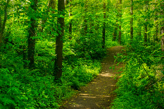 0975 _ © Brian Hennessy, NATURE@work _EEA