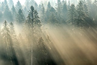 A-0325 _ © Andreea Vestea, Well with Nature _EEA