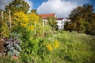 BMUV Woche-Klimaanpassung_1860103_BMUV-ToniKretschmer 