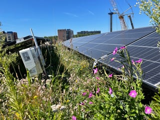 Blue-Green Solar roof Project Urba  Photosynthesis, Amsterdam Joris Voeten