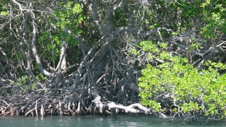 DSCF9569