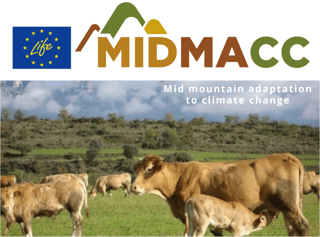 EU LIFE MIDMACC project Wooded areas in pastures for livestock resilience to climate change