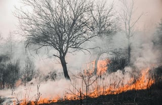 Knowledge for Action in Prevention and Preparedness call open for submissions - Copyright Vladyslav Dukhin - Pexels.com