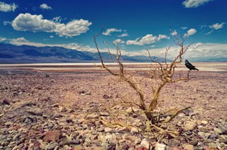Prolonged drought and record temperatures have critical impact in the Mediterranean - Johannes Plenio Pexels.com