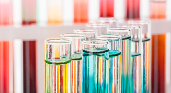Sampler_EEA and ECHA_joint synthesis report