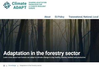 Screenshot_27-1-2025_93445_climate-adapt.eea.europa.eu
