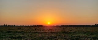 Surface temperature © Tarmo Selter, Well with Nature _EEA _ European Environment Agency (EEA) & Eionet _ Flickr