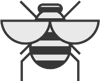 beetle
