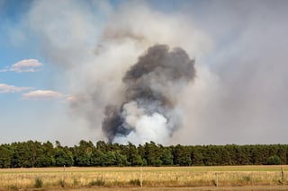 fire-3544205_1280 Sven Lachmann from Pixabay